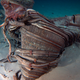 Illustration for article titled Apollo F-1 engines recovered from the bottom of the Atlantic by Bezos Expeditions